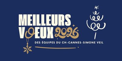 illustration Meilleurs Vœux 2026